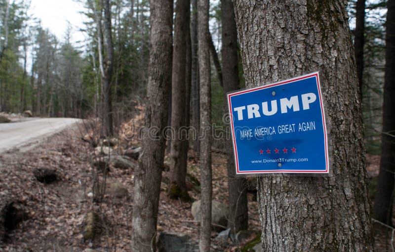 Una muestra de la campaña de Donald Trump clavada con tachuelas a un árbol en el borde de un camino de tierra enselvado en New Ha foto de archivo libre de regalías Una muestra de la campaña de Donald Trump clavada con tachuelas a un árbol en el borde de un camino de tierra enselvado en New Ha foto de archivo libre de regalías