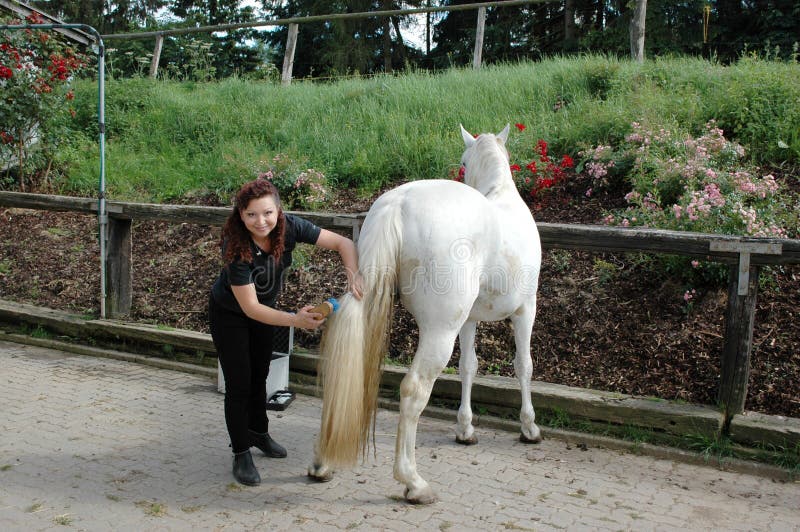 A woman combs the long tail of the horse. A woman combs the long tail of the horse.