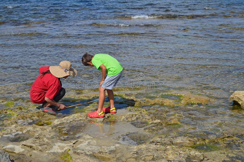 Una mujer y un muchacho que buscan cangrejos en las rocas imagenes de archivo Una mujer y un muchacho que buscan cangrejos en las rocas imagenes de archivo