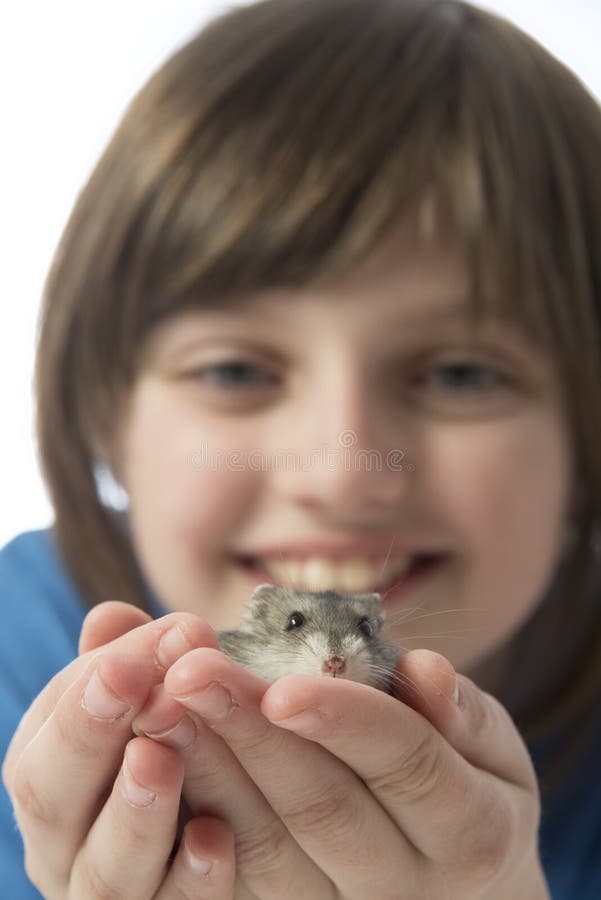 Una niña feliz con un hámster lindo imagen de archivo Una niña feliz con un hámster lindo imagen de archivo