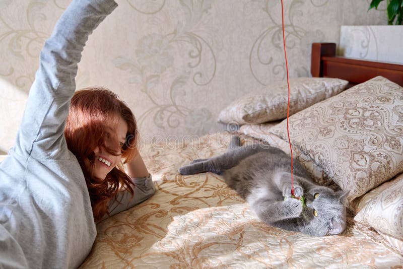 Una niña preadolescente jugando con un gato británico gris mascota se acuesta en casa en la cama fotos de archivo