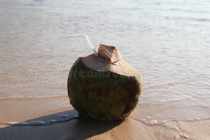 Una noce di cocco con paglia sulla spiaggia sabbiosa vicino al mare nel tempo soleggiato immagini stock libere da diritti Una noce di cocco con paglia sulla spiaggia sabbiosa vicino al mare nel tempo soleggiato immagini stock libere da diritti