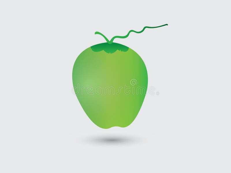 Una noce di cocco verde fresca per acqua potabile su fondo bianco illustrazione di stock Una noce di cocco verde fresca per acqua potabile su fondo bianco illustrazione di stock