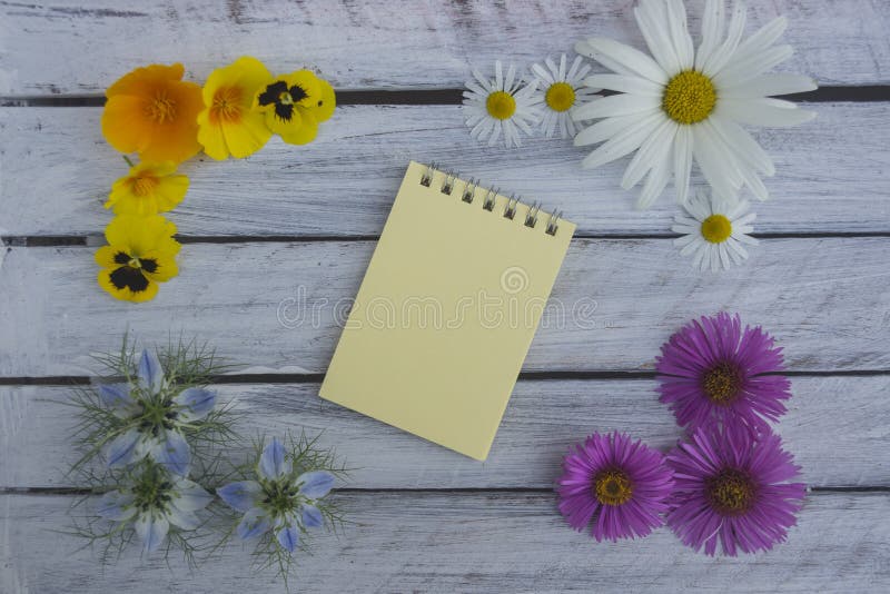 Una nota sobre una superficie de madera enmarcada por las flores 3 del verano imagen de archivo libre de regalías Una nota sobre una superficie de madera enmarcada por las flores 3 del verano imagen de archivo libre de regalías