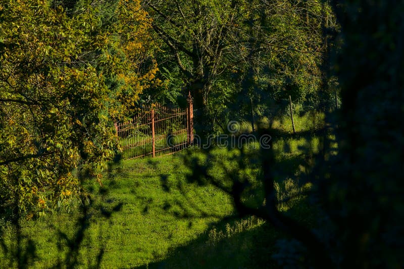 A gate in a garden seen from the distance. A gate in a garden seen from the distance