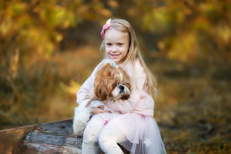Una ragazza carina abbraccia un cane Shih Tzu nella foresta autunnale Una ragazza cammina con un cane in un parco autunnale fotografia stock