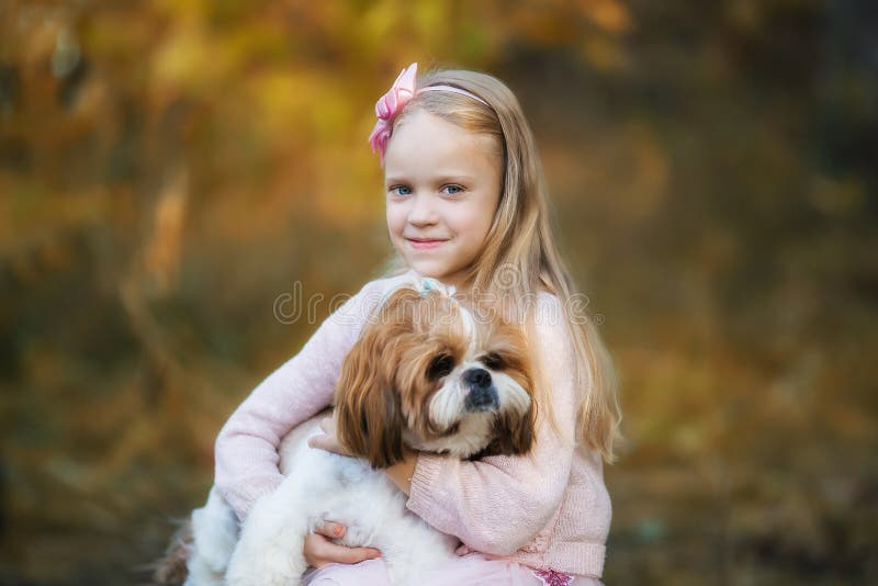 Una ragazza carina abbraccia un cane Shih Tzu nella foresta autunnale Una ragazza cammina con un cane in un parco autunnale immagine stock libera da diritti