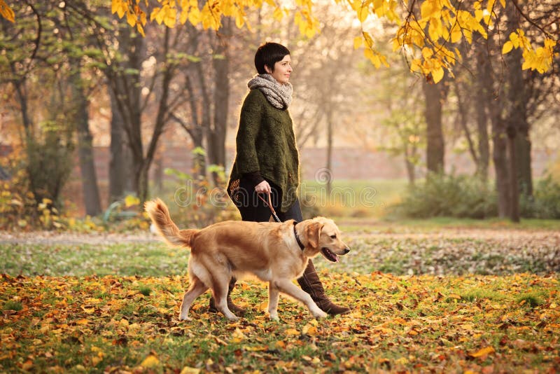 A girl and her dog (Labrador retriever) walking in a park in autumn. A girl and her dog (Labrador retriever) walking in a park in autumn