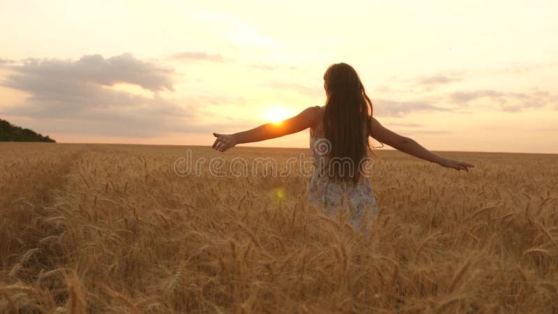 Una ragazza felice corre in slow motion attraverso il campo, toccando le orecchie di frumento con la mano Bellissima donna libera