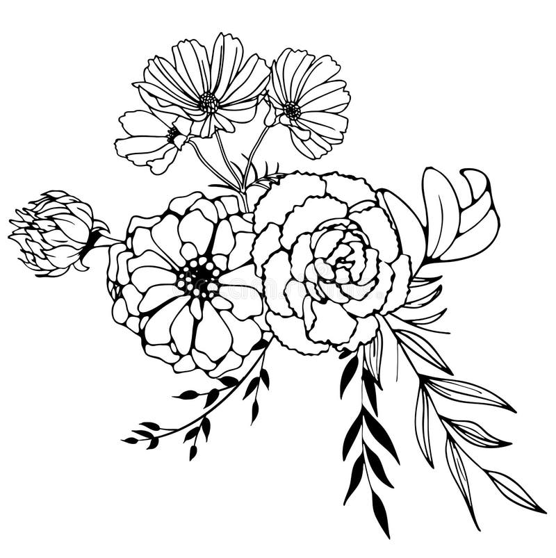 Una Rama De Flor De Contorno Negro Y Hojas Aisladas Sobre Fondo Blanco Dibujado. Ilustración del Vector - Ilustración de retro, ilustraciones: 232565405 Una Rama De Flor De Contorno Negro Y Hojas Aisladas Sobre Fondo Blanco Dibujado. Ilustración del Vector - Ilustración de retro, ilustraciones: 232565405