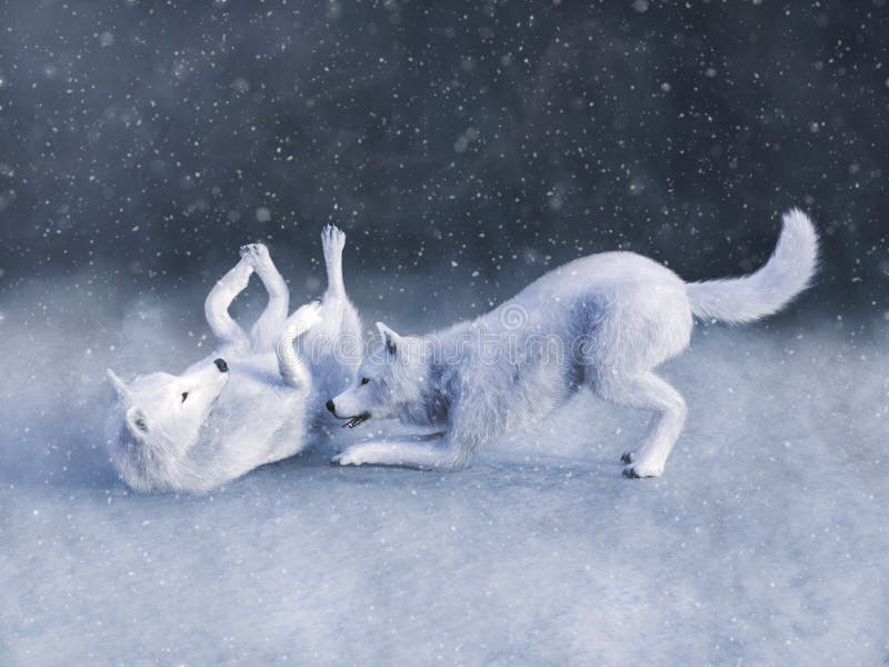 una rappresentazione 3D di due bianchi maestosi wolfs il gioco illustrazione di stock una rappresentazione 3D di due bianchi maestosi wolfs il gioco illustrazione di stock