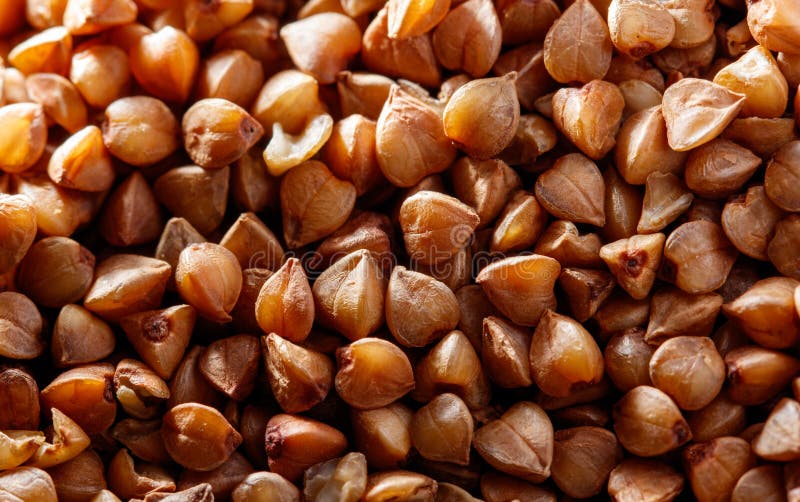 Una rassegna di granelli marroni immagini stock libere da diritti