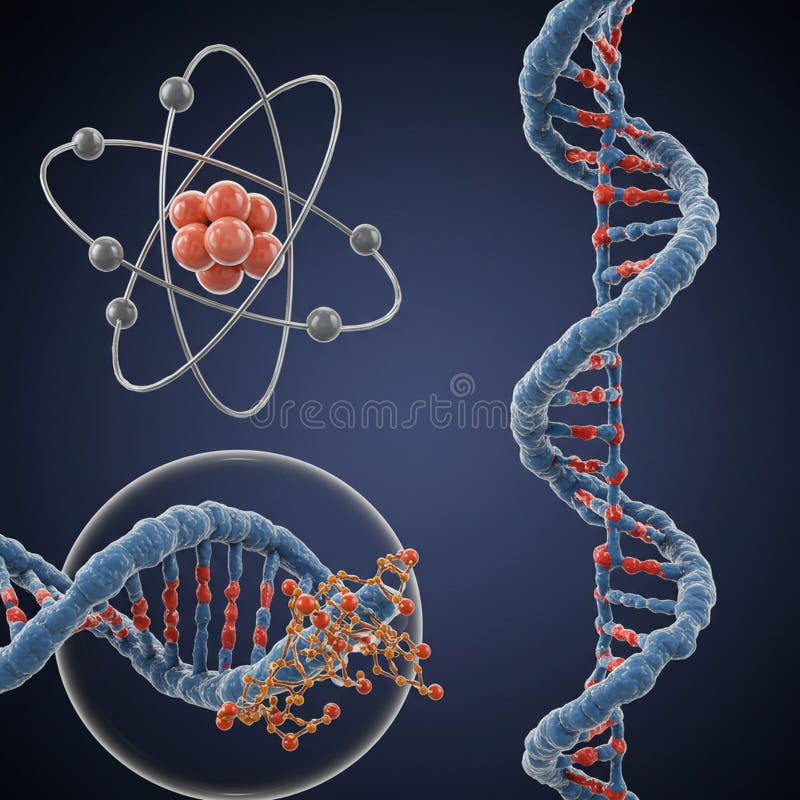 Una representación 3D representa modelos científicos : una doble hélice de ADN y un átomo. El ADN libre illustration