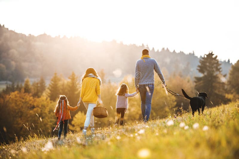 A rear view of young family with two small children and a dog on a walk in autumn nature. A rear view of young family with two small children and a dog on a walk in autumn nature.