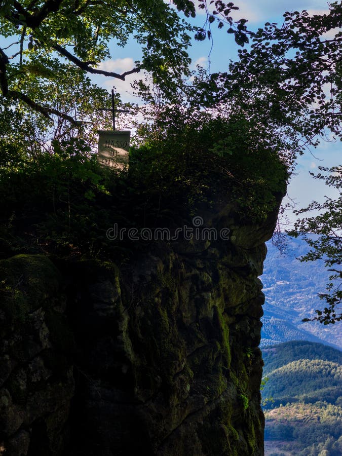 A burial stone on a hill in the woods. A burial stone on a hill in the woods