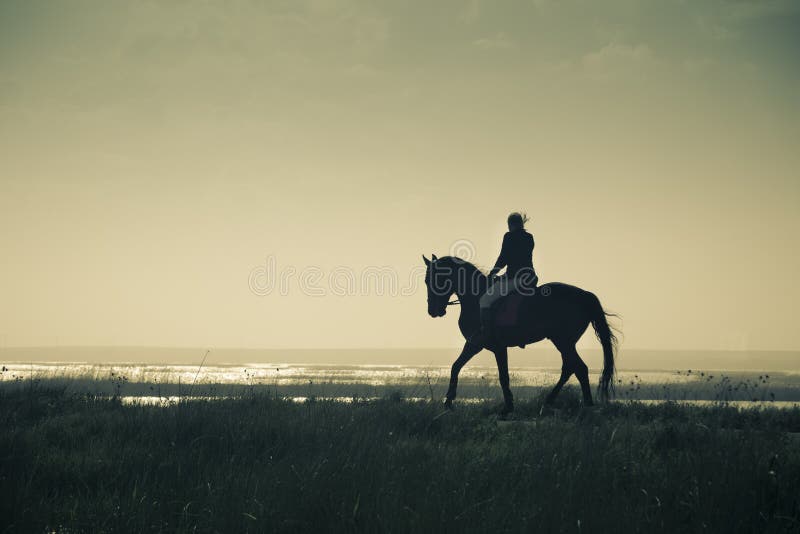 Una silueta del jinete a caballo/estilo retro fotos de archivo Una silueta del jinete a caballo/estilo retro fotos de archivo