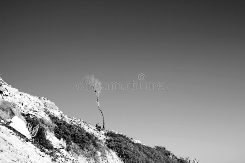 Una sombra en un desierto fotos de archivo libres de regalías Una sombra en un desierto fotos de archivo libres de regalías