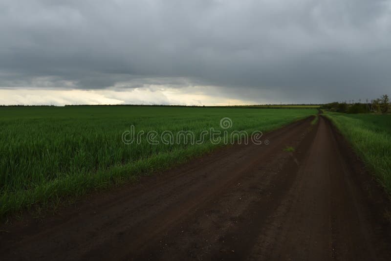 Una strada non asfaltata fra i campi verdi che allungano nella distanza immagini stock Una strada non asfaltata fra i campi verdi che allungano nella distanza immagini stock
