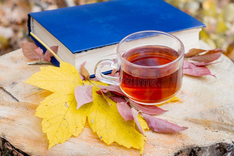 Una tazza di t?, di un libro e di una foglia di acero gialla nella foresta su un ceppo Libri e prima colazione colti nel woods_ fotografia stock libera da diritti Una tazza di t?, di un libro e di una foglia di acero gialla nella foresta su un ceppo Libri e prima colazione colti nel woods_ fotografia stock libera da diritti