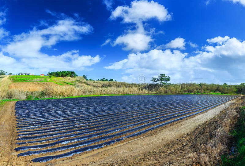 Una tecnología típica de la agricultura del cultivo temprano de la primavera de imagenes de archivo Una tecnología típica de la agricultura del cultivo temprano de la primavera de imagenes de archivo