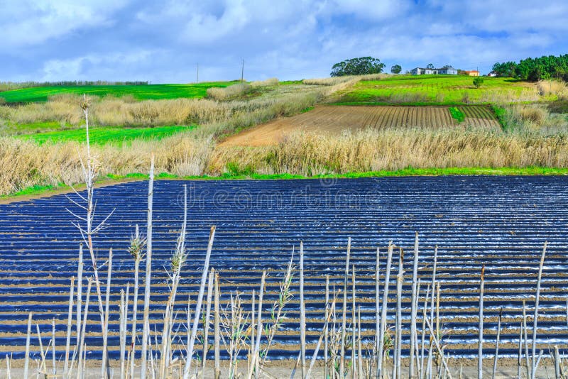 Una tecnología típica de la agricultura del cultivo temprano de la primavera de imágenes de archivo libres de regalías Una tecnología típica de la agricultura del cultivo temprano de la primavera de imágenes de archivo libres de regalías