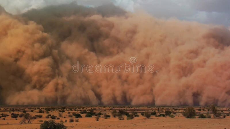 Una tempesta di sabbia con cielo blu nel deserto di Namib, parco di Naukluft, Namibia, Africa fotografia stock Una tempesta di sabbia con cielo blu nel deserto di Namib, parco di Naukluft, Namibia, Africa fotografia stock
