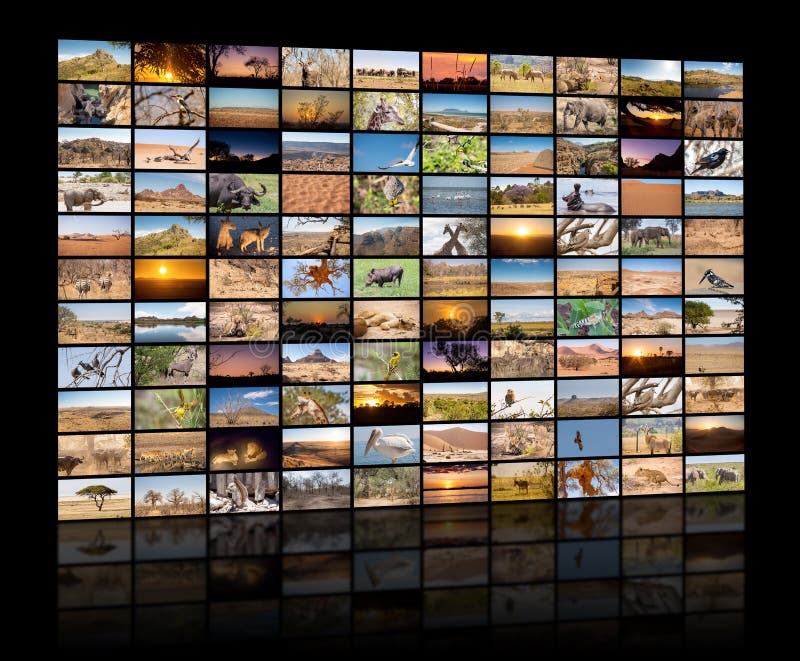 Una variedad de imágenes de paisajes africanos y de animales como pared grande de la imagen foto de archivo Una variedad de imágenes de paisajes africanos y de animales como pared grande de la imagen foto de archivo