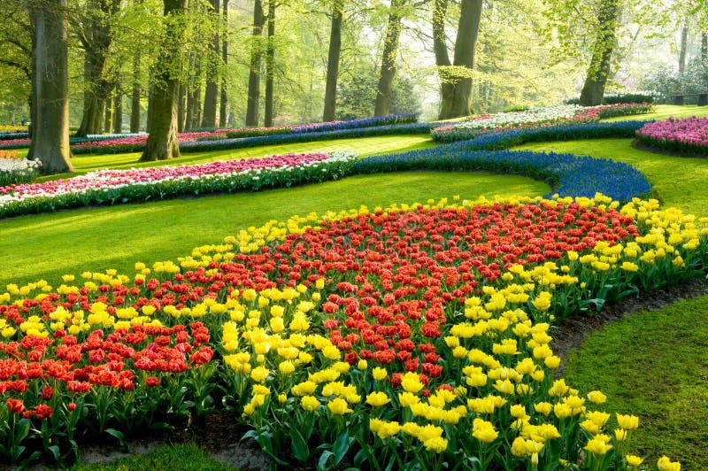 Una visión en el keukenhof del parque imagen de archivo libre de regalías Una visión en el keukenhof del parque imagen de archivo libre de regalías