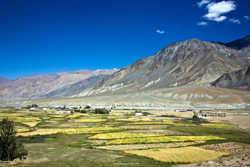 Una vista aérea de Padum, valle de Zanskar, Ladakh, Jammu y Cachemira, la India foto de archivo libre de regalías Una vista aérea de Padum, valle de Zanskar, Ladakh, Jammu y Cachemira, la India foto de archivo libre de regalías