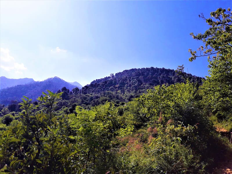Una vista cercana maravillosa del cielo azul y del paisaje con verdor fotos de archivo libres de regalías Una vista cercana maravillosa del cielo azul y del paisaje con verdor fotos de archivo libres de regalías