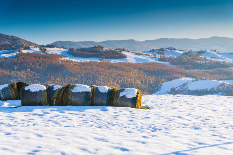 Una vista de la bala de heno con nieve foto de archivo Una vista de la bala de heno con nieve foto de archivo