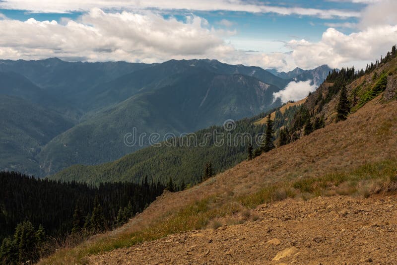 Una vista de una puesta del sol hermosa sobre una gama de montañas de enfrente de un prado con los wildflowers, el cielo es un co fotografía de archivo Una vista de una puesta del sol hermosa sobre una gama de montañas de enfrente de un prado con los wildflowers, el cielo es un co fotografía de archivo