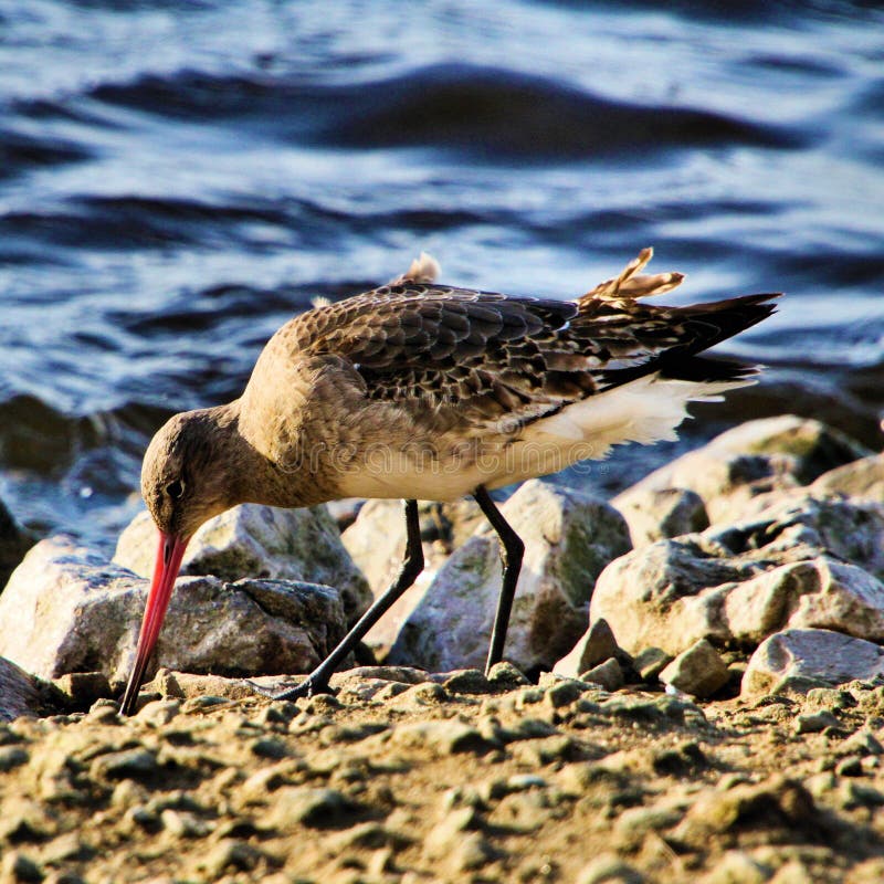 Una vista de un bar divino foto de archivo