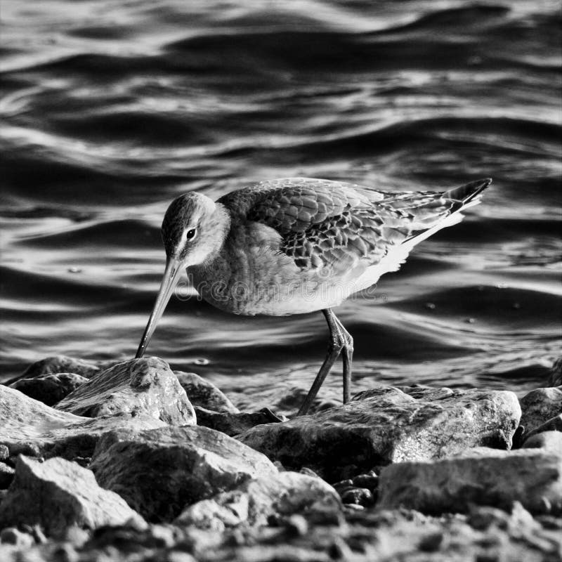 Una vista de un bar divino foto de archivo