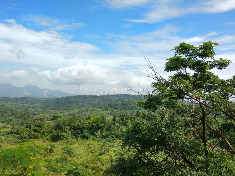 Una vista verde y fresca de la naturaleza imagen de archivo libre de regalías