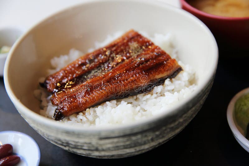Unagi Don , Grilled Eel with Rice , Japanese Food Stock Photo Image of lunch, summer 136980296