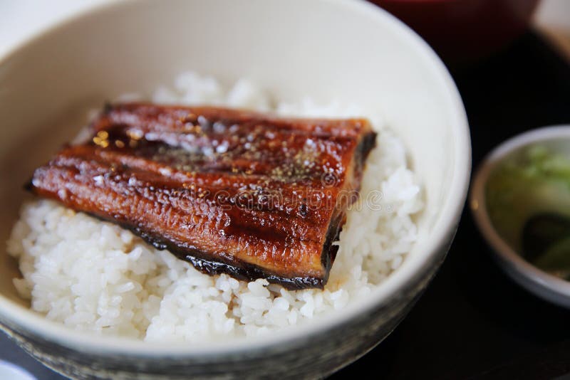 Unagi Don , Grilled Eel with Rice , Japanese Food Stock Photo Image of asia, rice 136980308