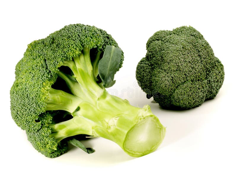 Uncooked Broccoli on White Background Isolated Stock Image Image of