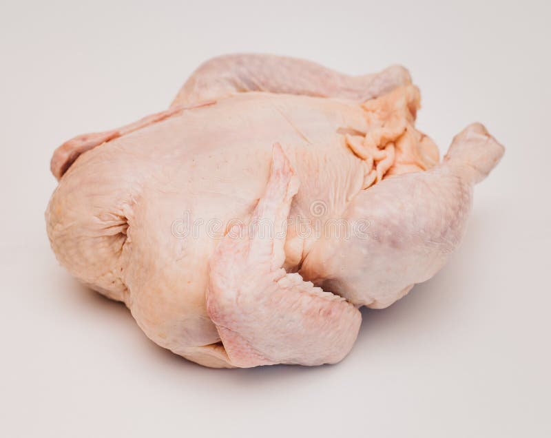 Big Fat Hen Stock Photos Free & RoyaltyFree Stock Photos from Dreamstime