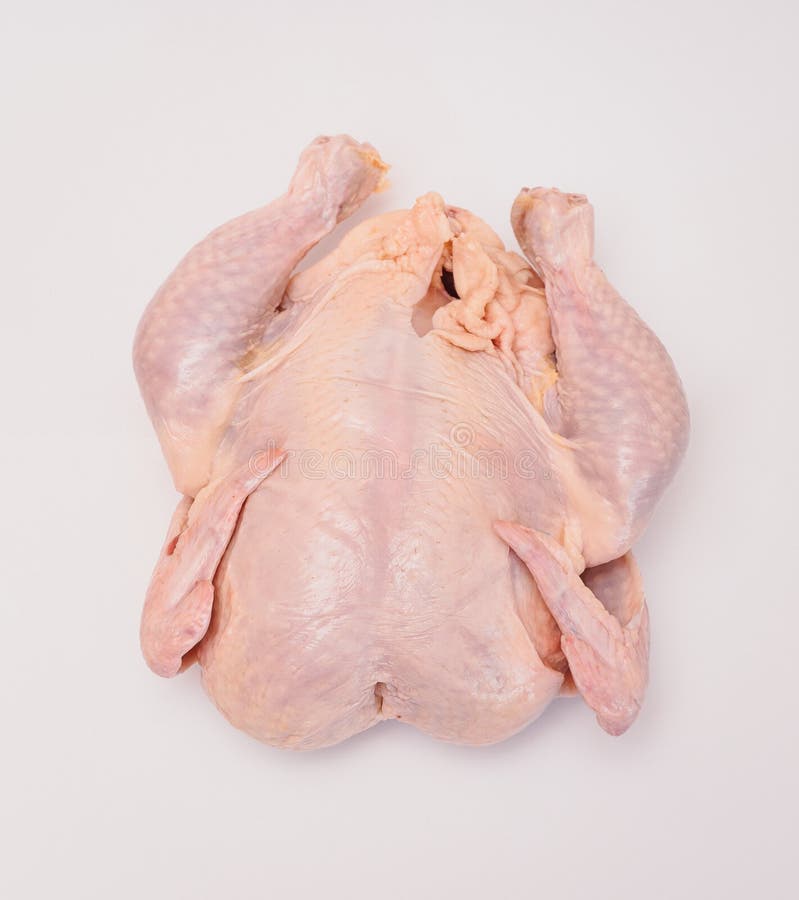 Uncooked Chicken. Big and Thick. Rests on the Back Stock Photo Image