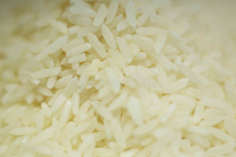 Uncooked dry rice stock photo. Image of diet, dried 179321298