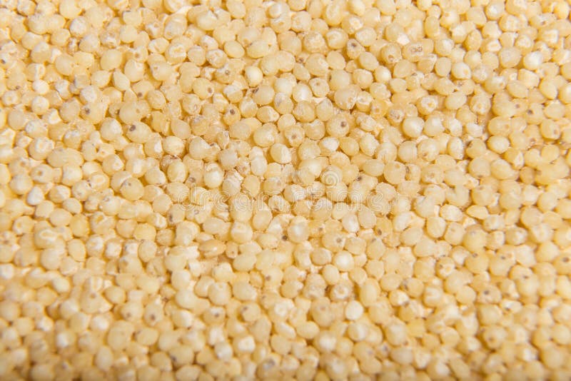 Uncooked Millet Cereal Closeup Macro Stock Photo Image of grain