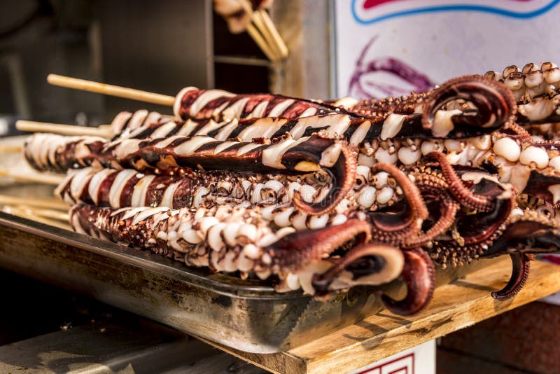 Uncooked Octopus on a Stick Stock Photo Image of uncooked, cooked