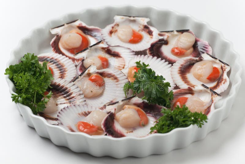 Uncooked scallops stock photo. Image of culinary, mollusk 11500102
