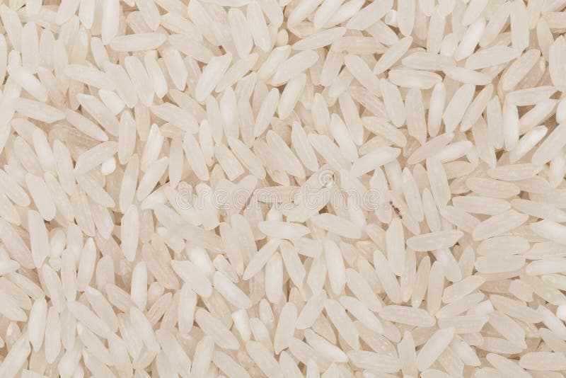 Uncooked white rice stock image. Image of oblong, nutrition 52076437