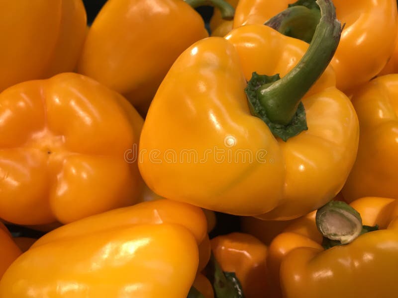 Bell pepper, Capsicum stock image. Image of object, white 165271375