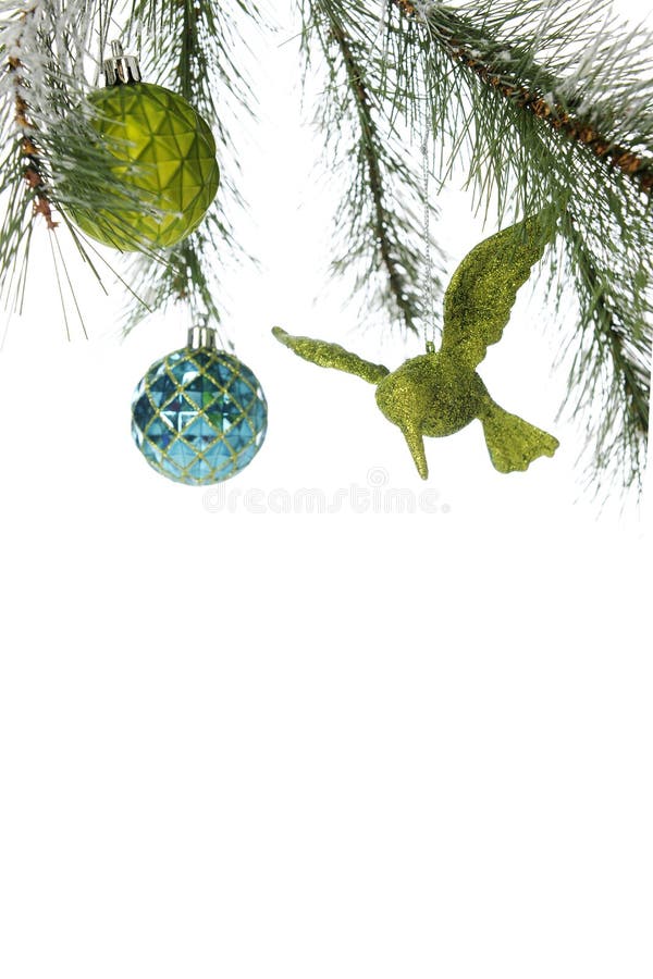 An upper border from the bottom side of a decorated Christmas tree bough. Besides the pine tree branches it has 2 round bulbs -- one blue, the other green, and a sparkly green humming bird. On a white background with plenty of room for your text. An upper border from the bottom side of a decorated Christmas tree bough. Besides the pine tree branches it has 2 round bulbs -- one blue, the other green, and a sparkly green humming bird. On a white background with plenty of room for your text.