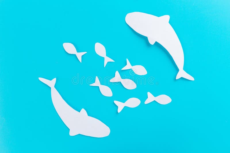 Under the waves circle two great white sharks royalty free stock image Under the waves circle two great white sharks royalty free stock image