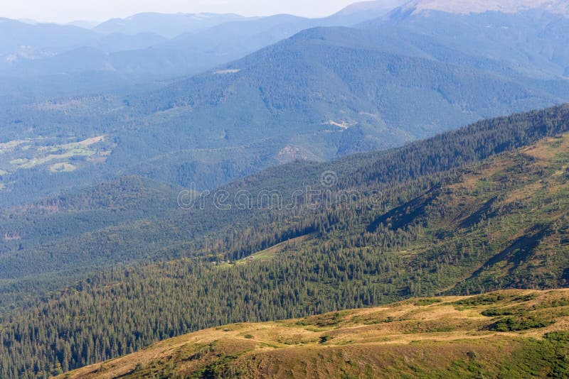 Underbar panoramautsikt av Carpathians berg, Ukraina Vintergröna mest gorest kullar Carpathians berglandskap arkivbild Underbar panoramautsikt av Carpathians berg, Ukraina Vintergröna mest gorest kullar Carpathians berglandskap arkivbild
