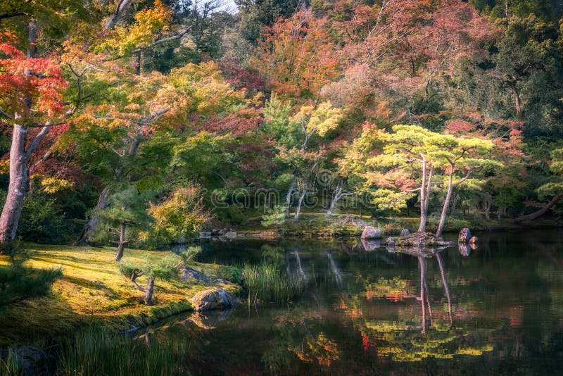 Underbara färger på den japanska Zen Garden på den guld- paviljongen, Kyoto, Japan royaltyfri foto Underbara färger på den japanska Zen Garden på den guld- paviljongen, Kyoto, Japan royaltyfri foto